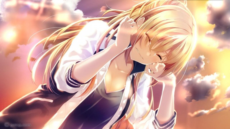 未来无线电和人工鸽