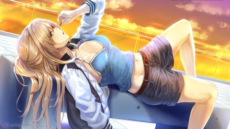 未来无线电和人工鸽