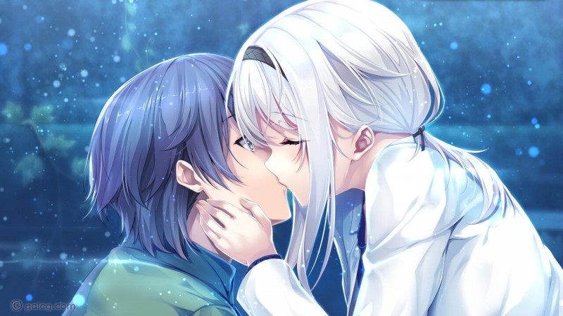 未来无线电和人工鸽