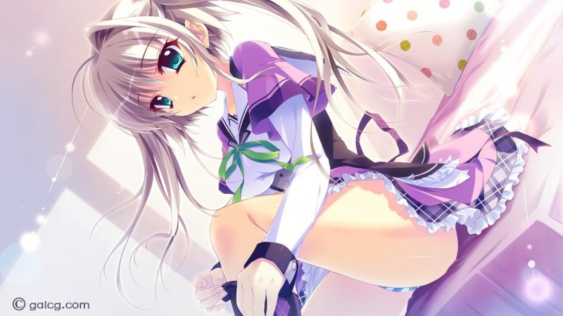 恋花绽放樱飞时