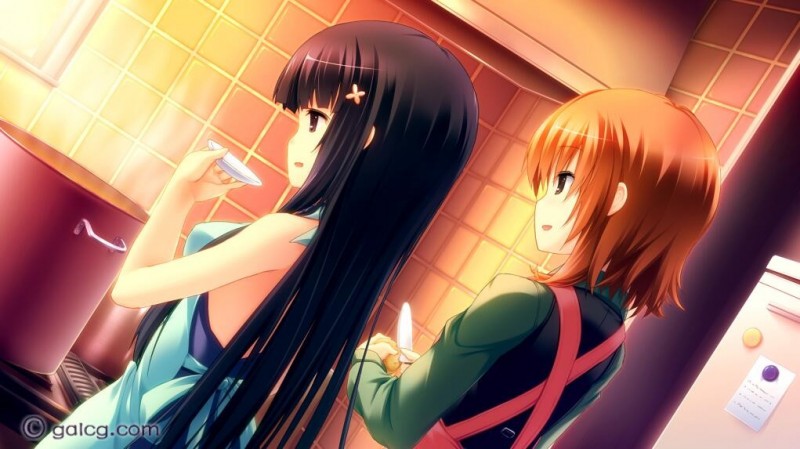 隙间樱花与谎言都市