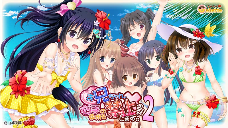 お兄ちゃん、右手の使用を禁止します！ 2