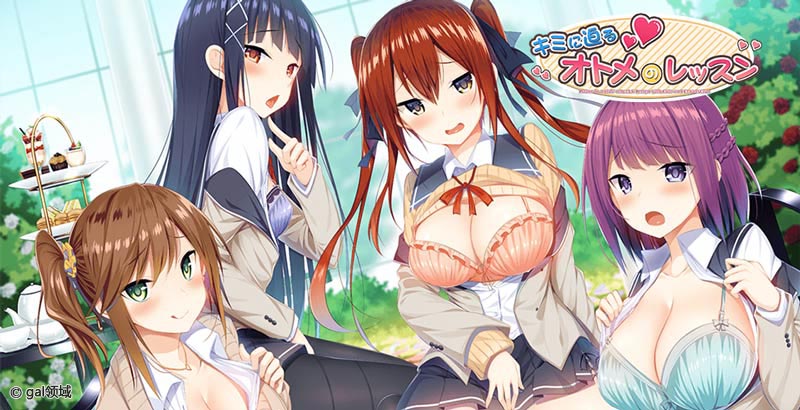 キミに迫るオトメのレッスン