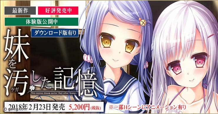 妹を汚した記憶