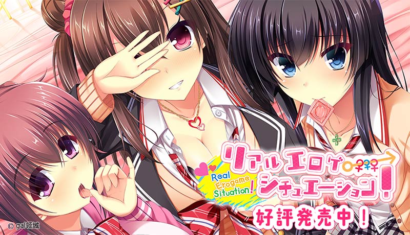 リアルエロゲシチュエーション!