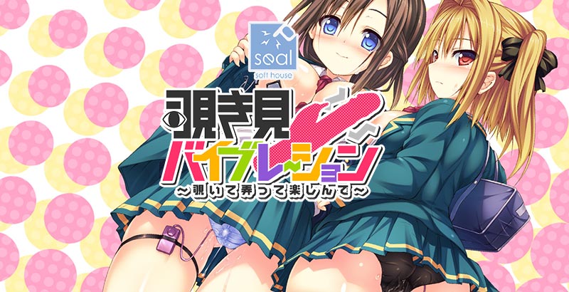 覗き見バイブレーション ～覗いて弄って楽しんで～