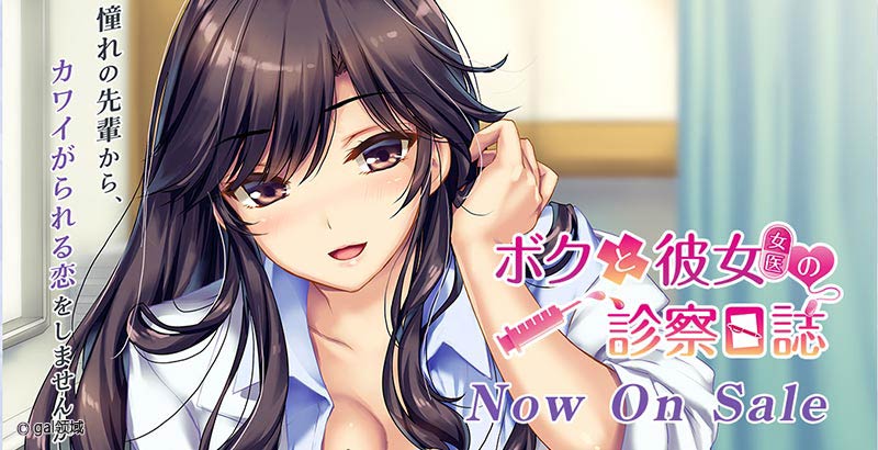 ボクと彼女（女医）の診察日誌