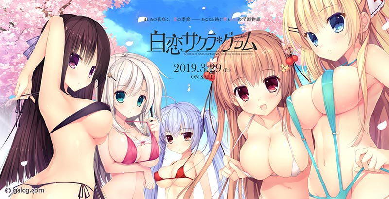 白恋サクラ*グラム