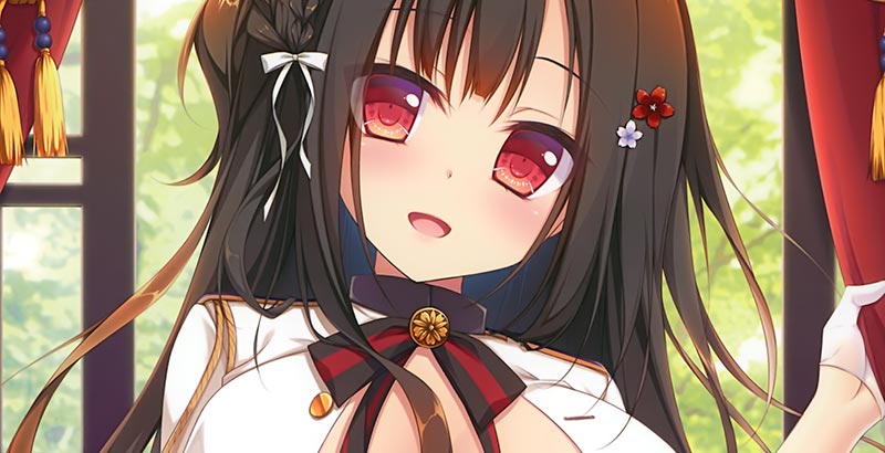 メロンブックス限定オリジナルフルカラーイラスト画集