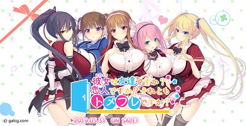 彼女(ヒロイン)は友達ですか?恋人ですか?それともトメフレですか?