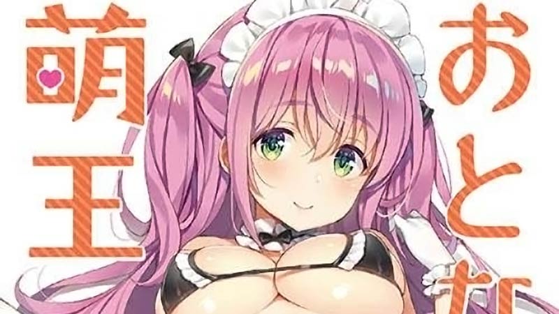 おとなの萌王 ドキッ♥とするカノジョの下着本