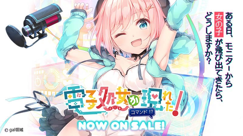 電子処*が現れた！ コマンド!?