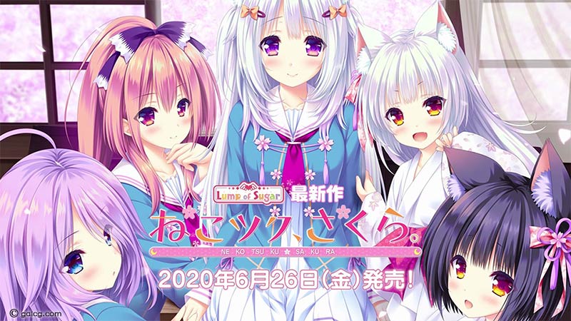 ねこツク、さくら。