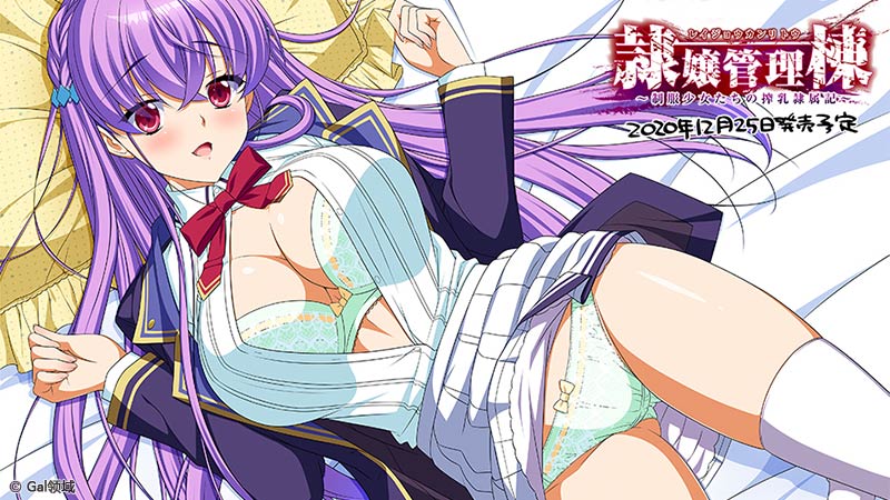 隷嬢管理棟 ~制服少女たちの搾*隷属記~