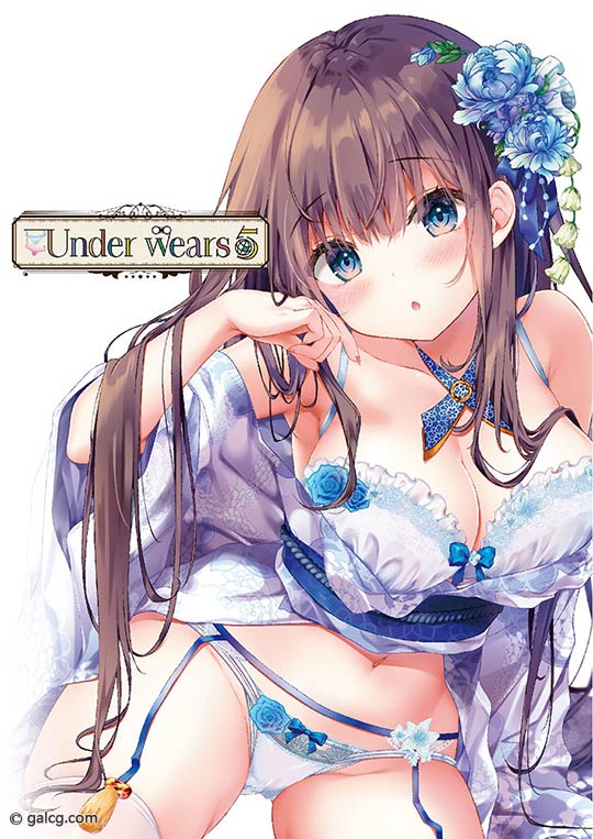 うりぼうざっか店 パンツ特化型画集「Under wears 5」