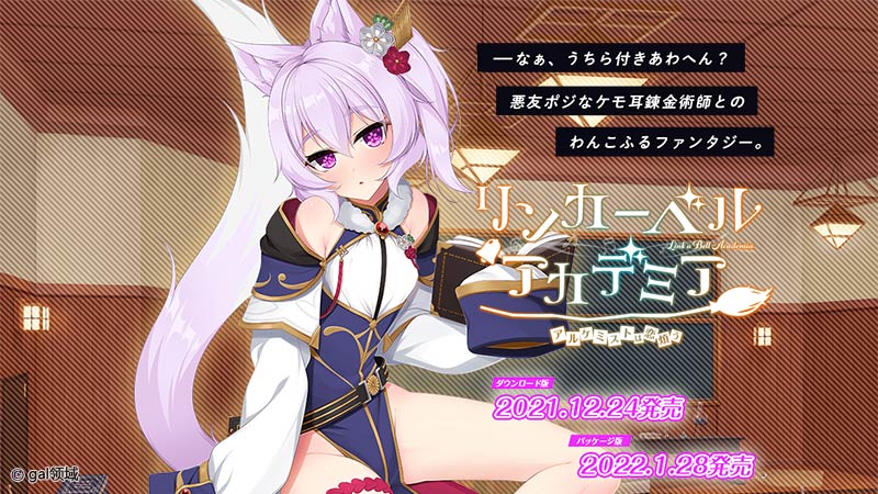 リンカーベル・アカデミア ～アルケミストは恋煩う～