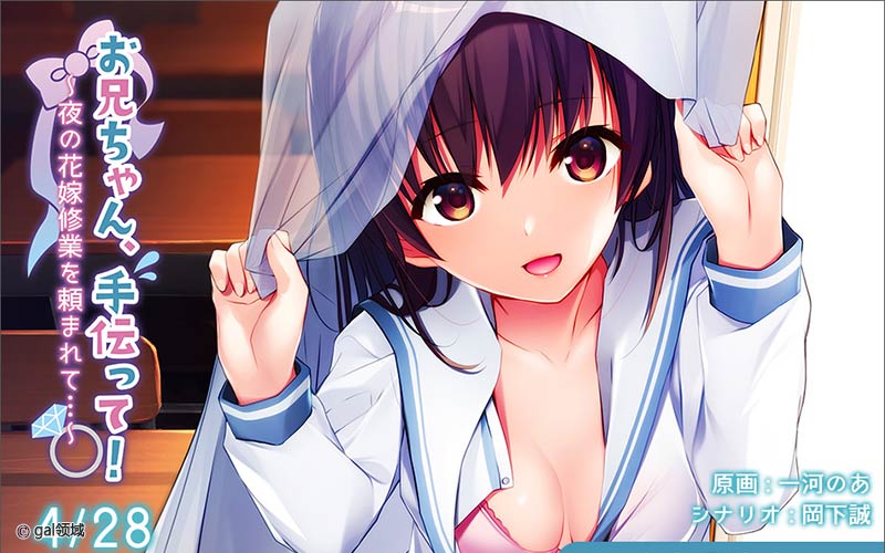 お兄ちゃん、手伝って！～夜の花嫁修業を頼まれて…～