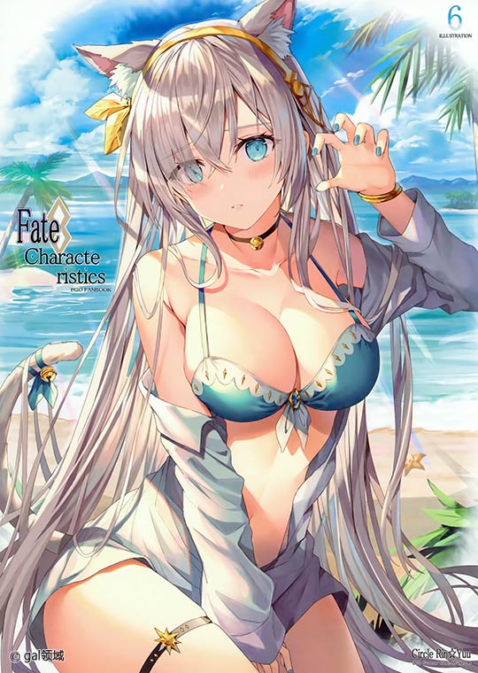 Fate characteristic 6 (Fate Grand Order)