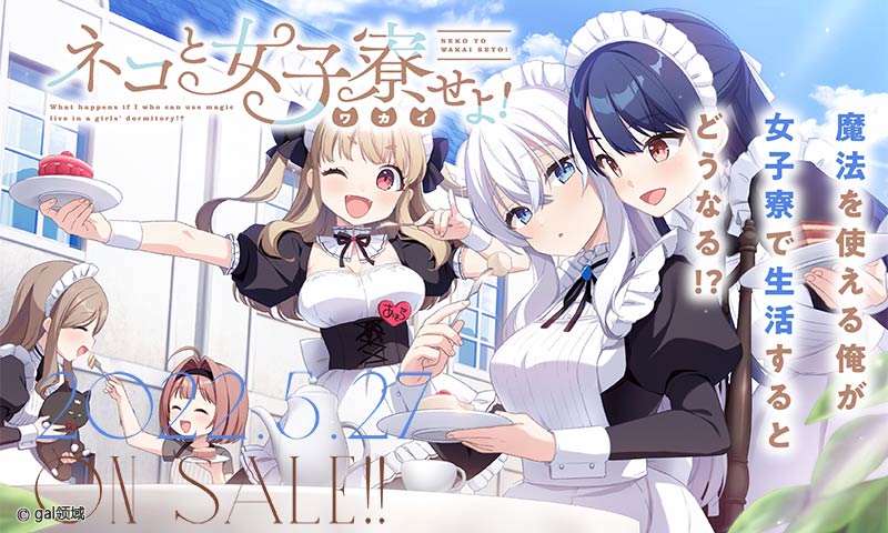 ネコと女子寮(ワカイ)せよ!