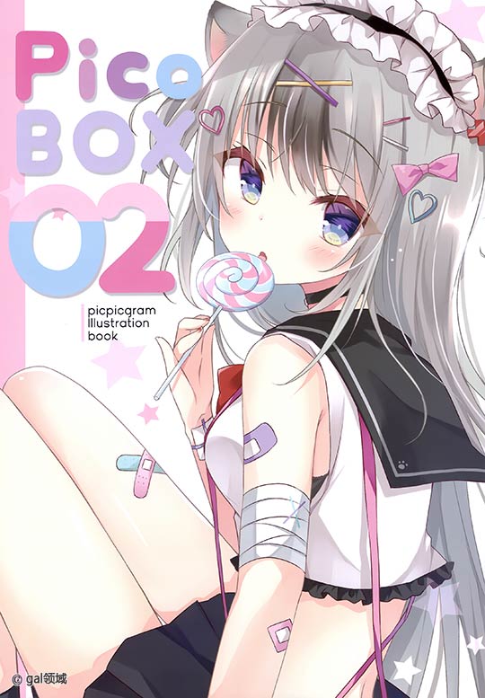 PICOBOX2 (オリジナル)