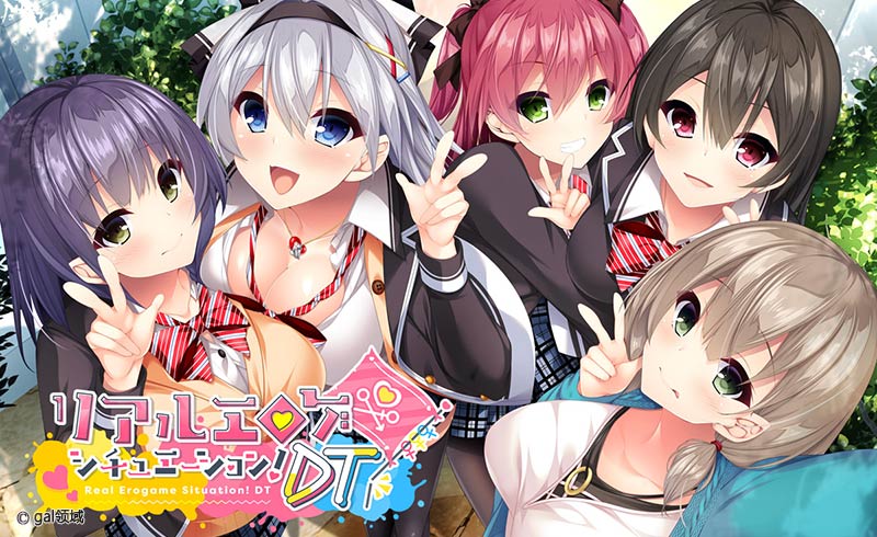 リアルエロゲシチュエーション!DT