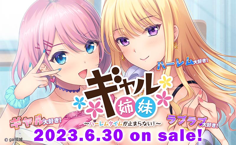 ギャル姉妹～ハーレムタイムが止まらない！～