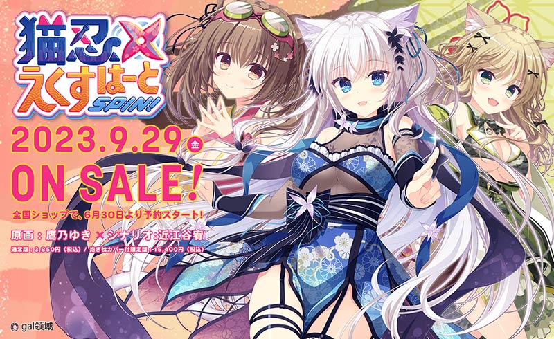 猫忍えくすはーとSPIN!