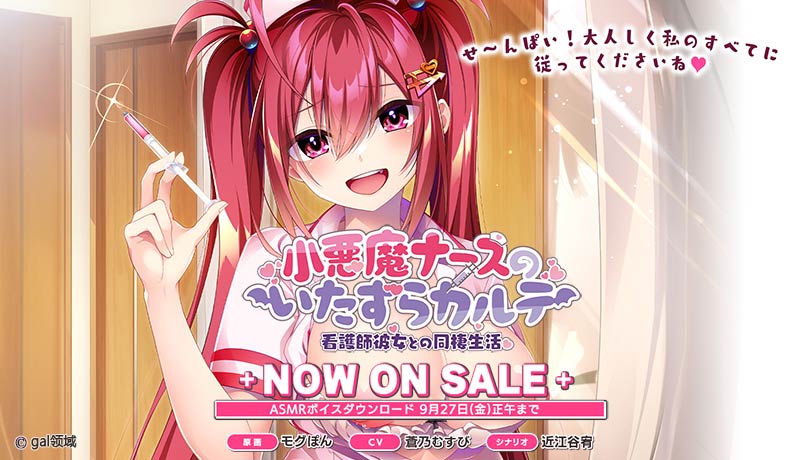 小悪魔ナースのいたずらカルテ -看護師彼女との同棲生活-