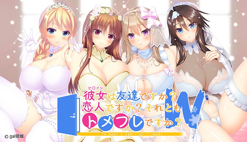 彼女（ヒロイン）は友達ですか？恋人ですか？それともトメフレですか？W