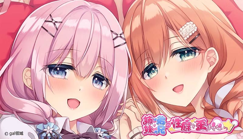 妹(姉)は兄(弟)の*癖を歪ませたい!