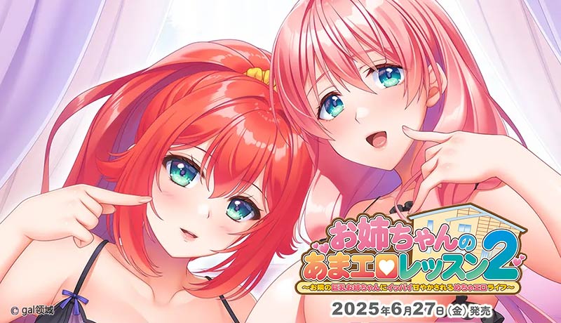 お姉ちゃんのあまエロレッスン2