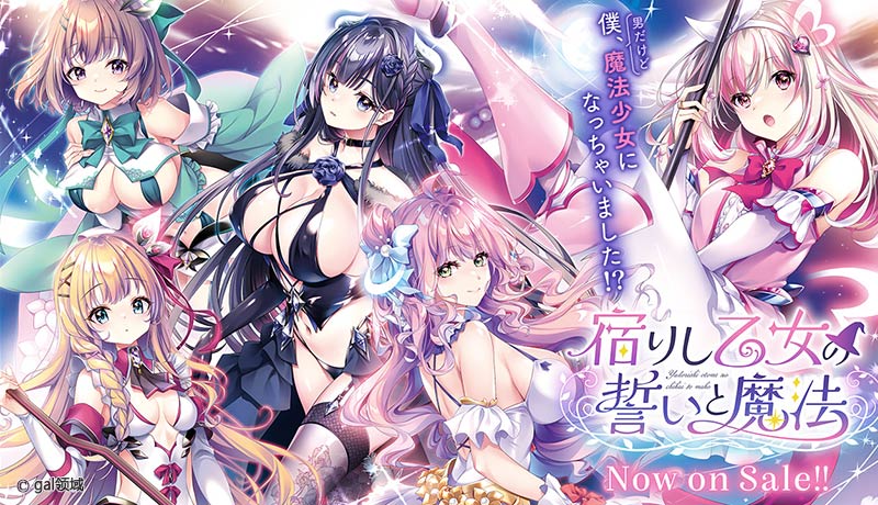 宿りし乙女の誓いと魔法