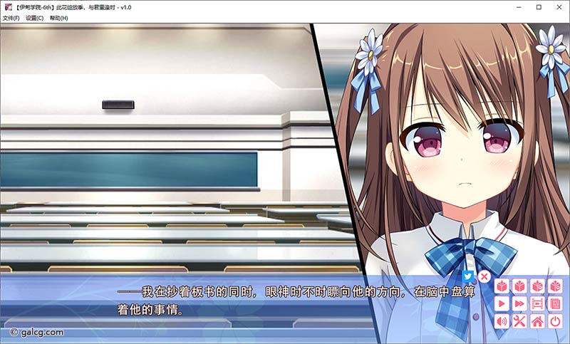 此花绽放季，与君重逢时