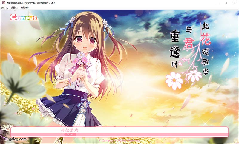 此花绽放季，与君重逢时