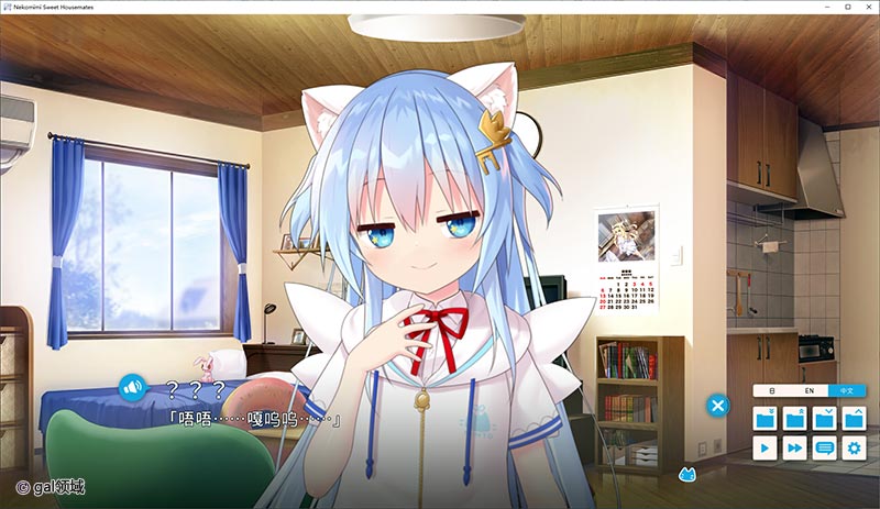 【自购】家喵二三事 Vol. 1