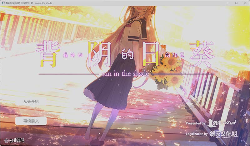 背阴的日葵(荫处的向阳花)