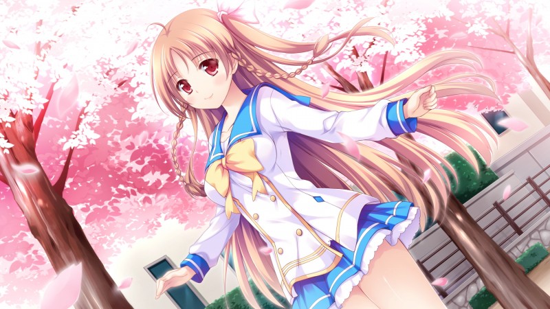 ウィザーズコンプレックス