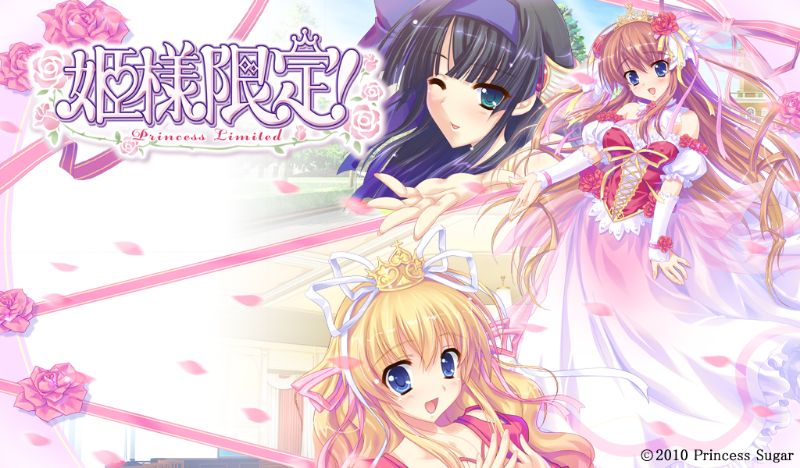 姫様限定 ~Princess Limited~